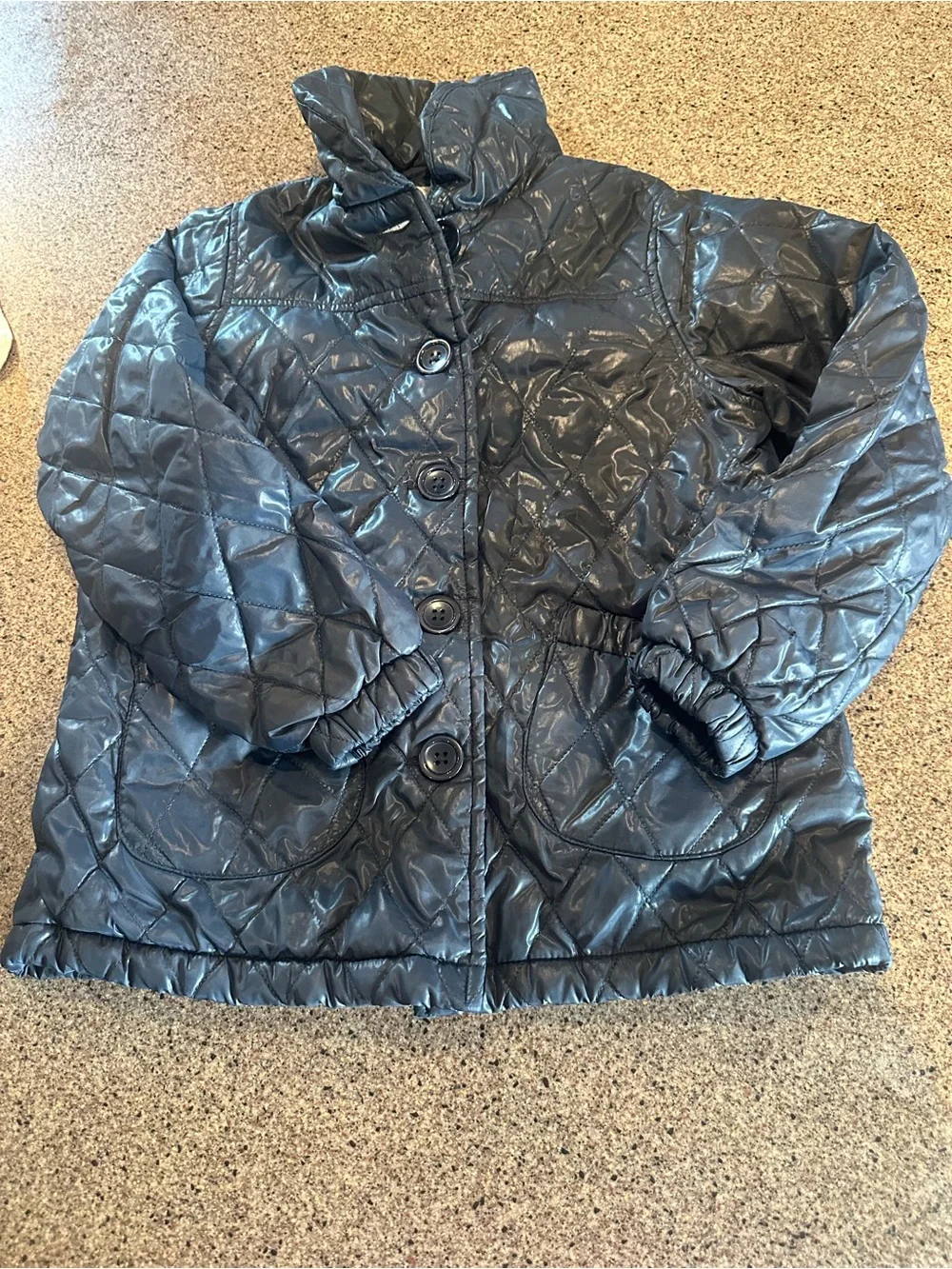 The Children's Place Black Quilted Jacket with Light Blue Lining